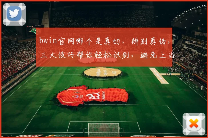 bwin官网哪个是真的，辨别真伪，三大技巧帮你轻松识别，避免上当受骗