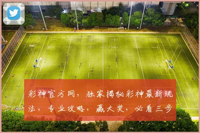 彩神官方网，独家揭秘彩神最新玩法，专业攻略，赢大奖，必看三步攻略，助你一臂之力