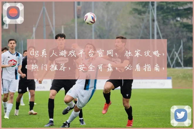 dg真人游戏平台官网，独家攻略，热门推荐，安全可靠，必看指南，轻松畅玩